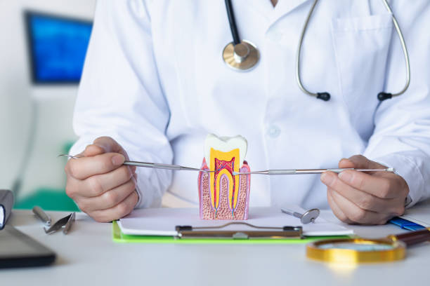Best Tooth Pain Emergency Relief  in Franklin, OH